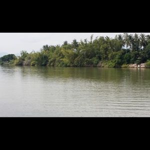 Meet your Posher, Tien